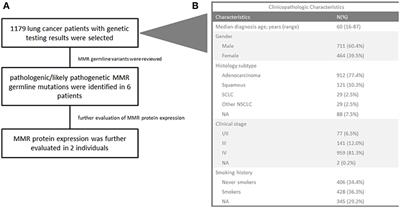 Identification of Germline Mismatch Repair Gene Mutations in Lung Cancer Patients With Paired Tumor-Normal Next Generation Sequencing: A Retrospective Study